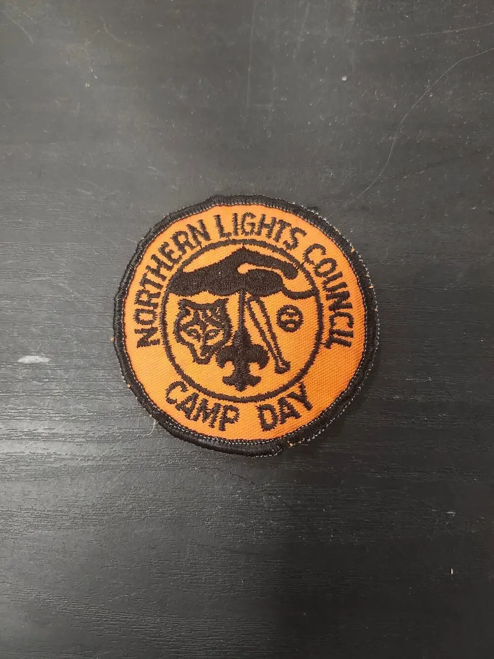 Vintage BSA Northern Lights Council Camp Day Patch Boy Scouts Memorabilia Retro
